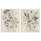 Stupell Industries Vintage Letters with Botanicals 2pc Canvas Wall Art Set Design by Carol Robinson